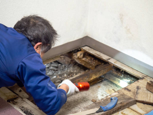Best Crawl Space Mold Removal  in Potomac Park, CA