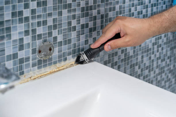 Best Emergency Mold Removal  in Potomac Park, CA
